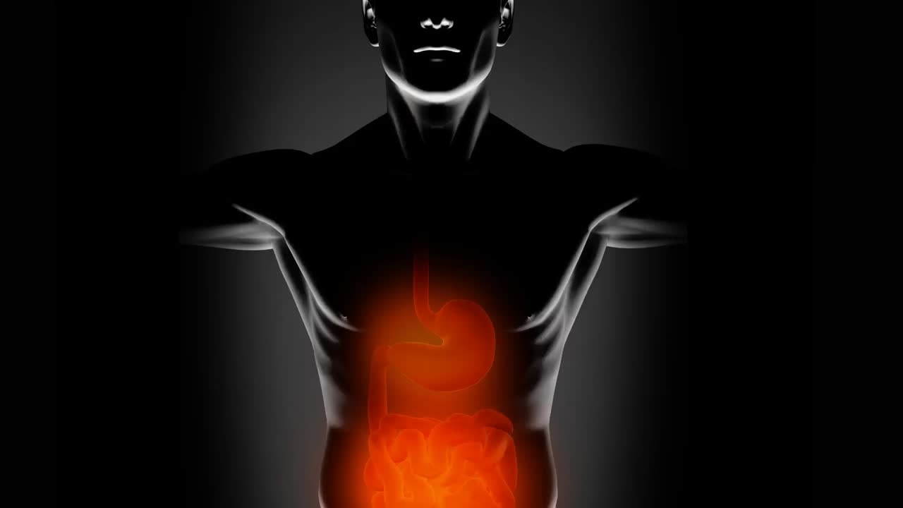 animación de moléculas que caen sobre el modelo del cuerpo humano