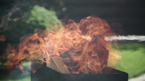 la madera está ardiendo en la chimenea de metal negro
