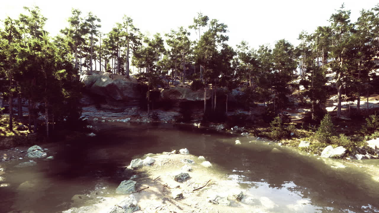 Calm lakeside view surrounded by lush trees in a serene natural setting