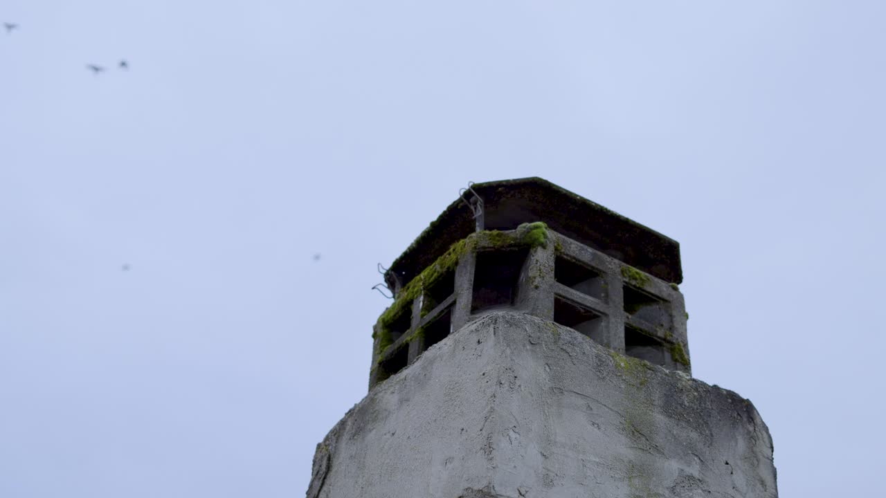 Abandoned chimney with moss on top, birds flying above in the sky