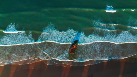 top down aerial view of taghazout bay. view of the ocean waves coming to the shore crushing on a majestic rock sitting at the shore.
