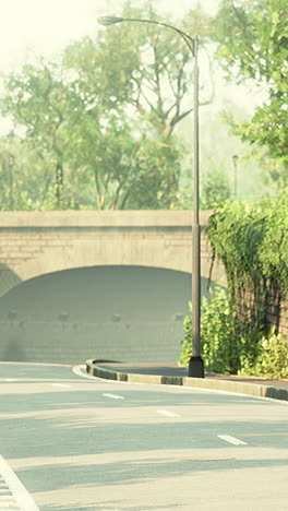 a scenic road with trees on either side