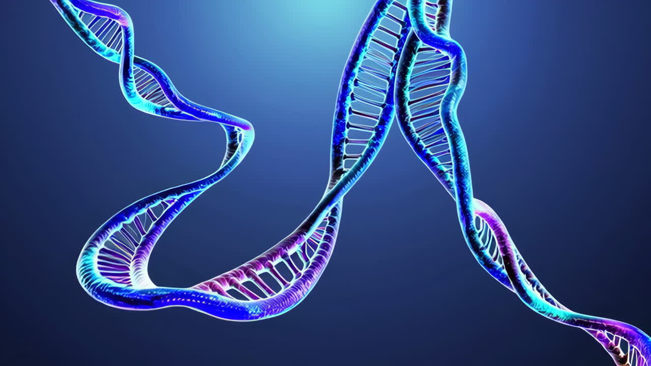 DNA 더블 헬릭스