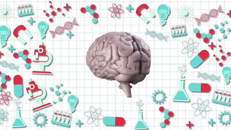 cerebro giratorio contra los iconos del concepto de la ciencia en fondo blanco
