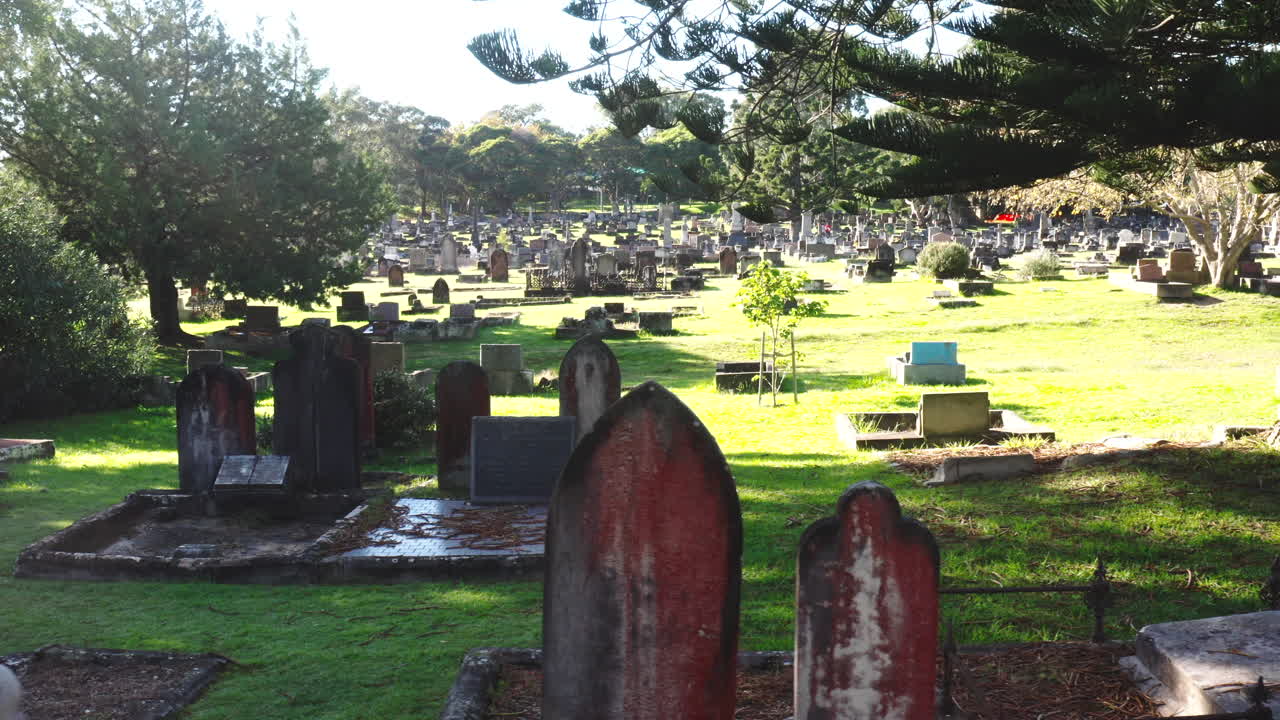 드론 은 은 날 묘지에 있는 무덤 사이에서 개들이 달리고 놀면서 무덤을 바로 지나간다.