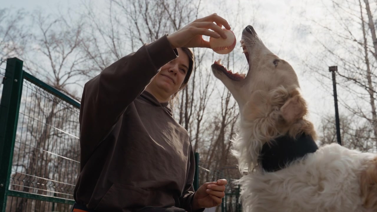 Una donna interagisce con un grande cane bianco all'aperto, tenendo e offrendogli una palla da baseball. La scena si svolge in un'area aperta con alberi spogli e una recinzione verde visibili come sfondo.