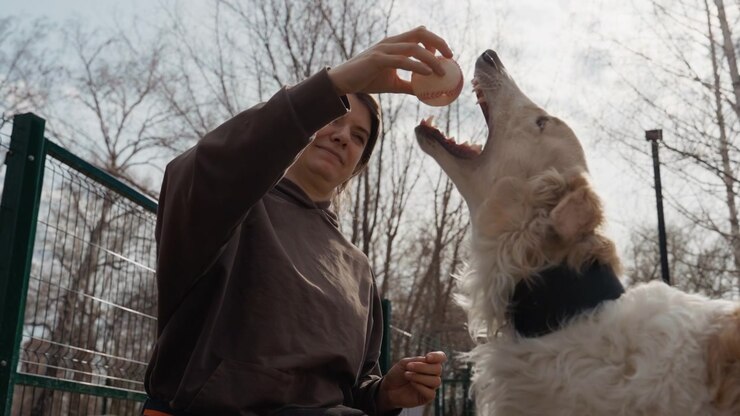 Una donna interagisce con un grande cane bianco all'aperto, tenendo e offrendogli una palla da baseball. La scena si svolge in un'area aperta con alberi spogli e una recinzione verde visibili come sfondo.