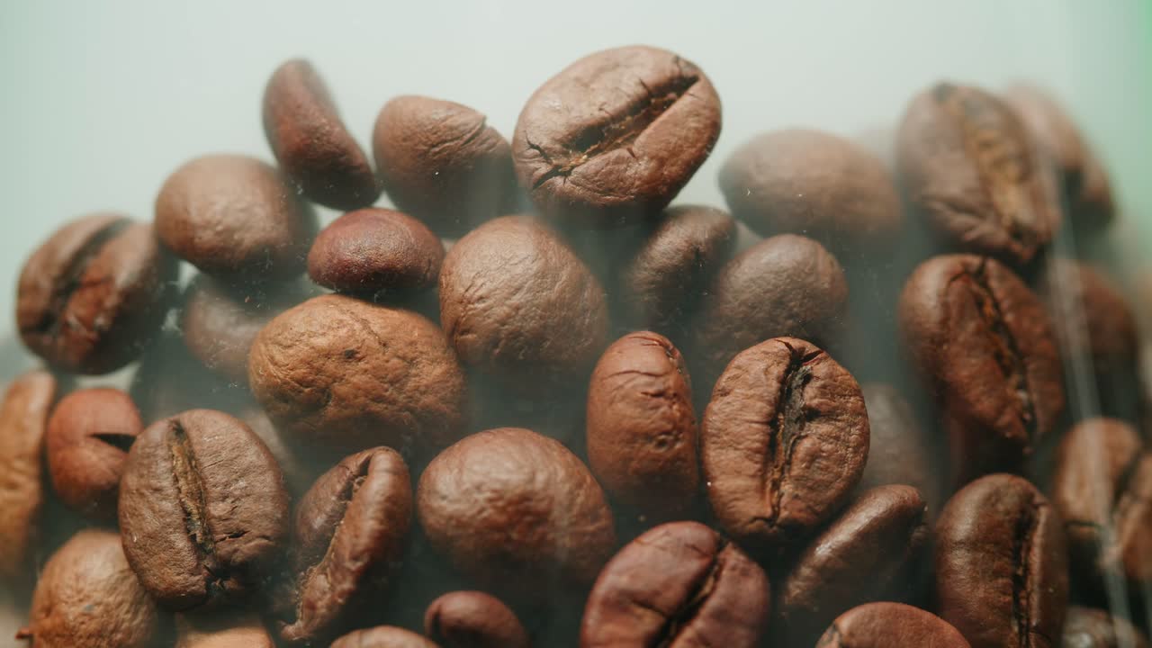Roasted Coffee Beans with Changing Background Color