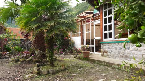 smooth dolly in through a tropical garden with palm and lemon tree, revealing a rustic house facade with large windows. perfect for lifestyle, real estate, and nature visuals.