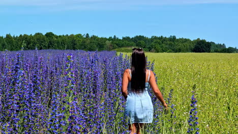black-haired woman amidst green grass and lavender fields. limbazi, latvia