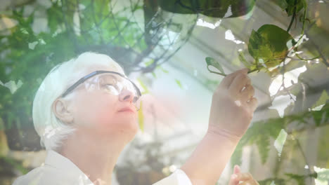 animation of glowing light over senior woman gardening