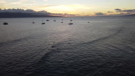 Hawaiian-sunset-and-surfers-at-the-coast-of-Maui