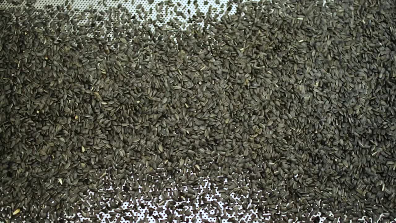 공장 컨베이어 에 있는 꽃 씨