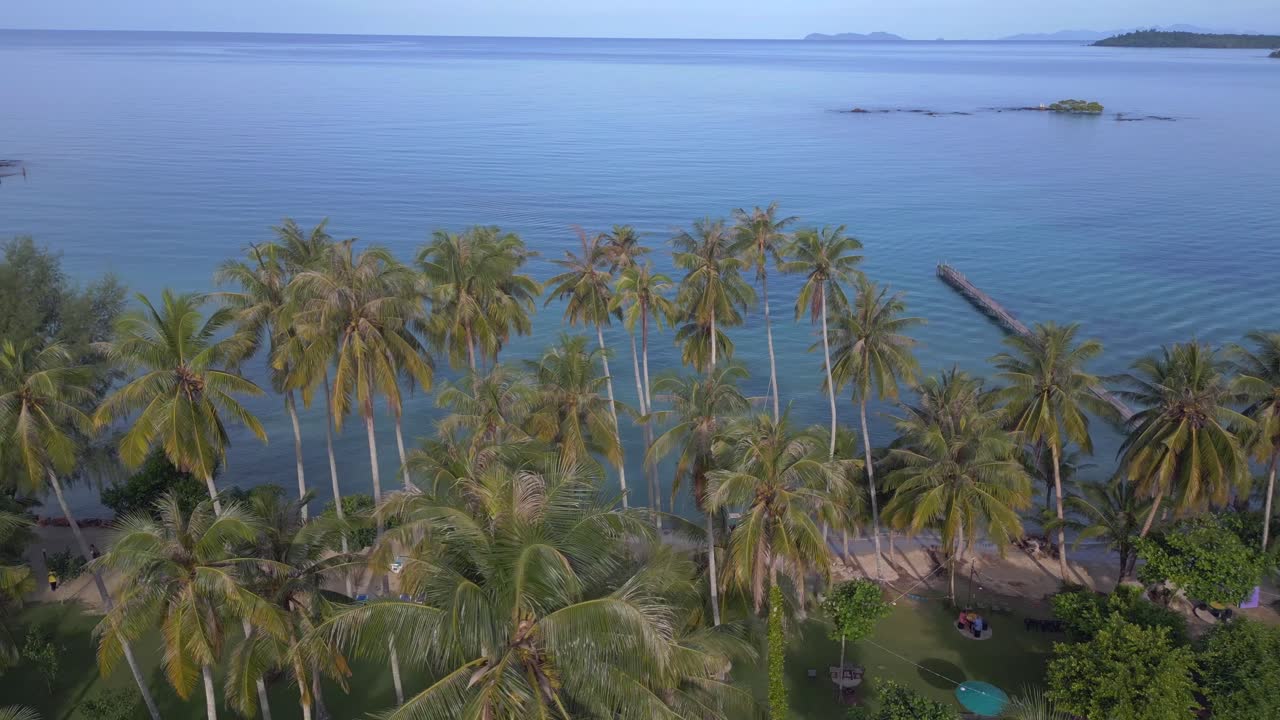 por encima de las copas de las palmeras