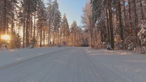 winter driving pov on snow covered forest roads highlighted by sun rays