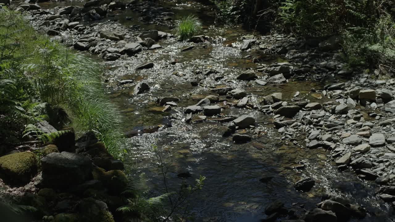 Aliran sungai jernih yang mengalir di atas bebatuan di hutan Portugal.