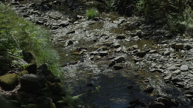 Clear stream flowing over rocks and stones in forest Portugal