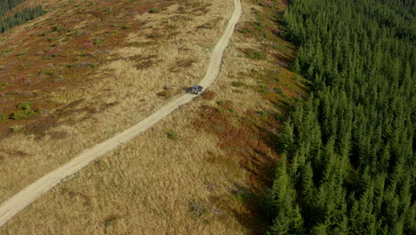 Aerial-mountain-road-car-among-big-natural-trees-growing-summer-sunny-day