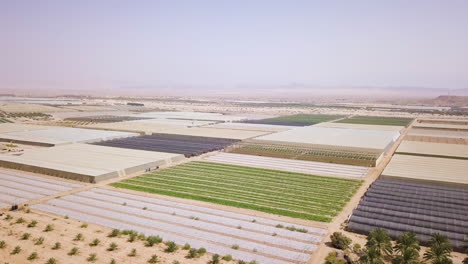 beautiful aerial shot of arava desert in israel overlooking agriculture fields 04