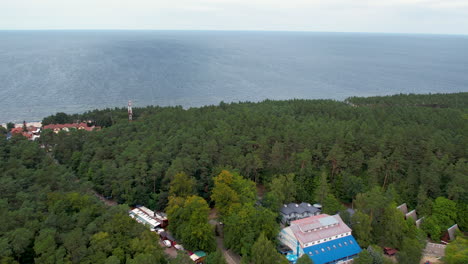 Luftaufnahme-–-Stegna-–-Blick-Auf-Die-Stadt-An-Der-Ostseebucht-–-Natürlich-Gelegene-Gebäude-Zwischen-Bäumen-Am-Wasser-–-Küstenlandschaft-An-Einem-Beliebten-Ort-In-Polen