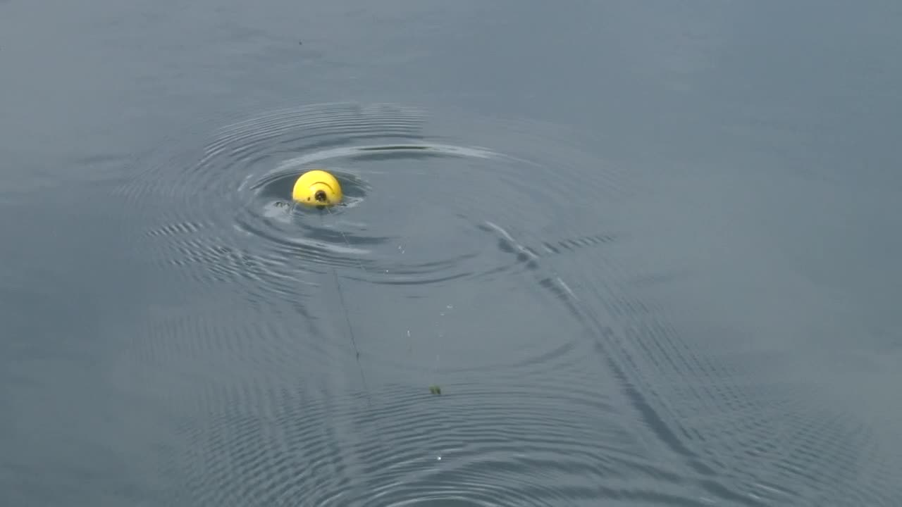 물 위 에 떠 있는 버 - 높은 각도 에서 찍은 사진