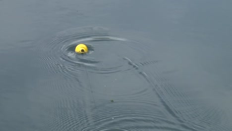 Bobber-Flotando-En-El-Agua---Tiro-De-ángulo-Alto