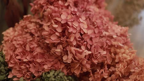 hermoso conjunto de flores, toma de video de cerca
