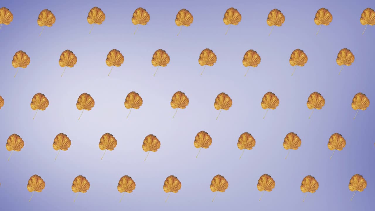 보라색 배경에 가을 노란색 잎의 줄의 애니메이션