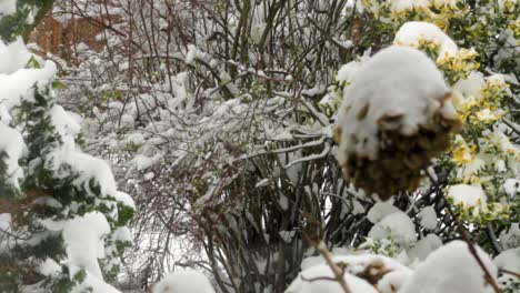 first serious snowstorm of the winter this year-2021, in the united kingdom here in oakham in the county of rutland