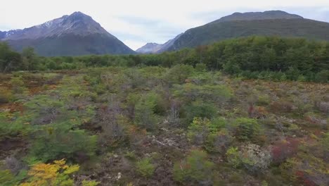 ushuaia vista aerea