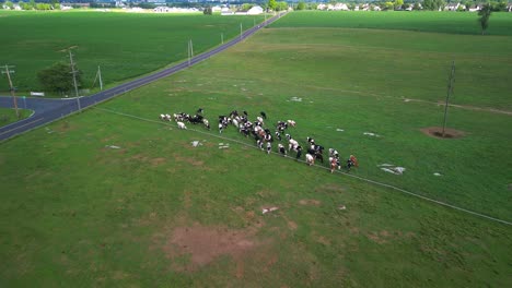 Video-Aéreo-De-Drones-De-Tierras-Agrícolas-Durante-La-Puesta-De-Sol