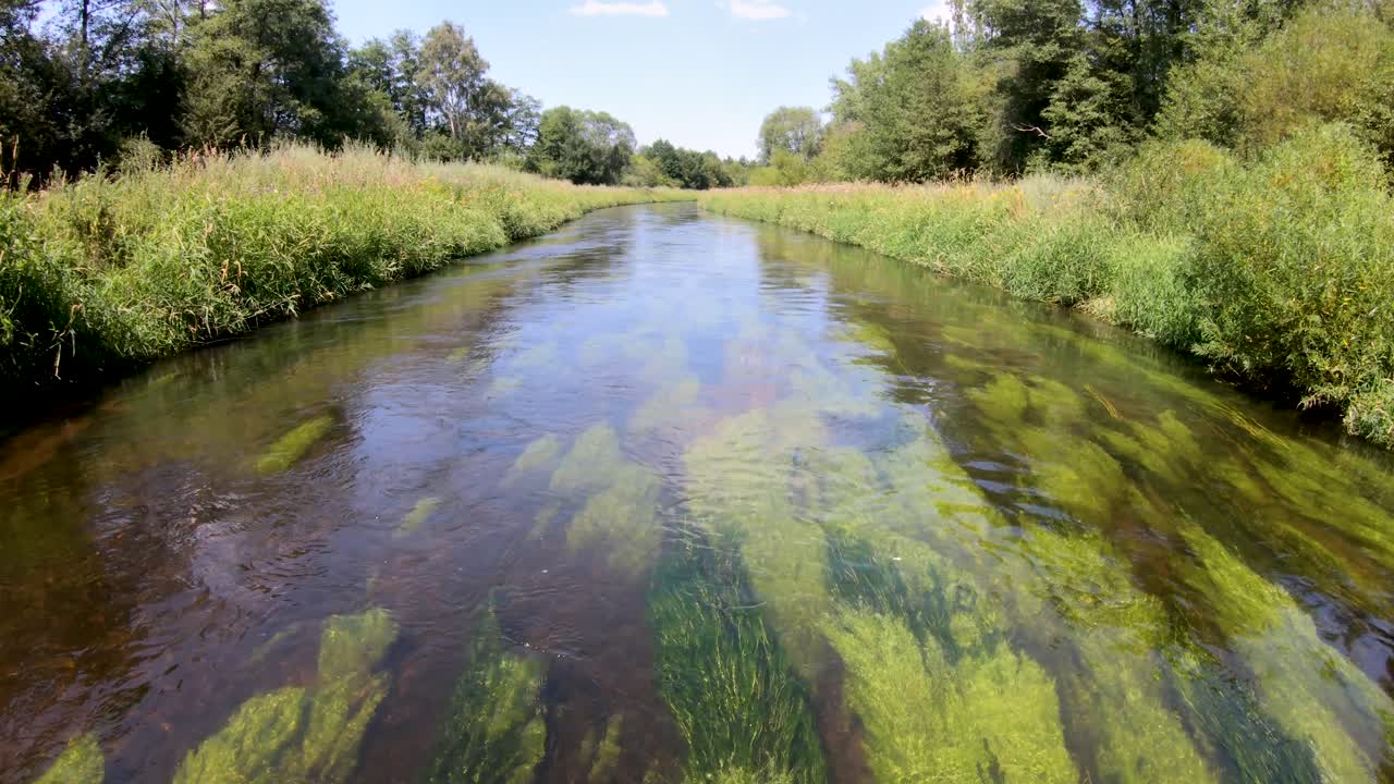 drifting forward on a czech river with colorful aquatic plants underwater and vegetation on both banks