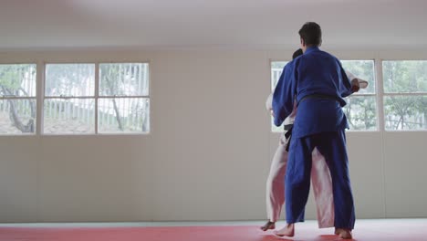 judokas training by doing a randori on the judo mat