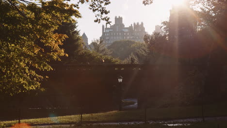 people running jogging biking along pedestrian bridge in central park new york city in sunny morning, outdoor exercise activity with natural surroundings and bright sunlight