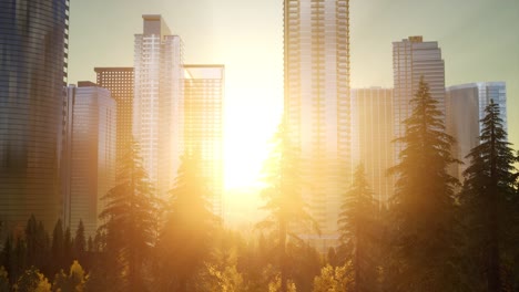 forest hillside and city landscape