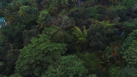 vista aérea del jardín de rocas morogoro-12