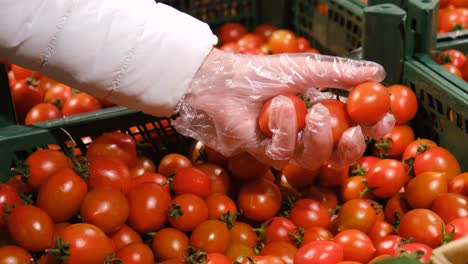 close-up female hand is choosing a cherry tomatoes at grocery store and puts it in paper bag.