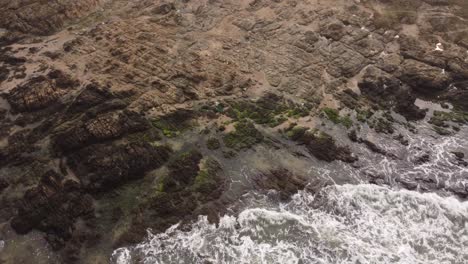 aerial-view-of-a-surfer-on-the-rocks-on-the-coast-at-punta-del-este-in-uruguay