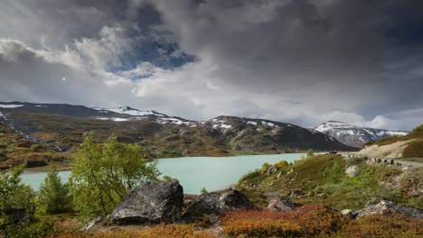 Norway-Red-Foliage-00