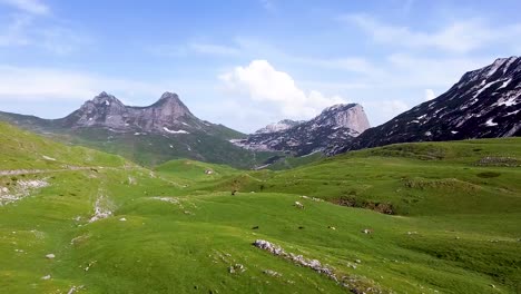 panoramica aerea: bellezza selvaggia montenegro