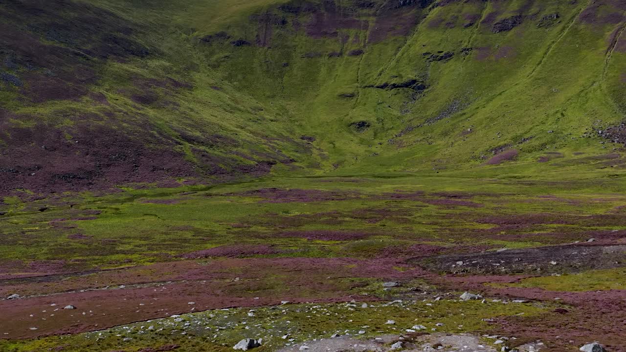 La telecamera esegue lentamente una panoramica su erica, erba e terreno roccioso in condizioni di luce naturale