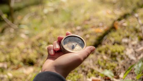la mano del viajero sostiene una brújula en el bosque