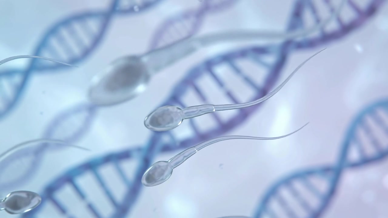 Sperm Cells Swimming Towards DNA Strands in Microscopic View