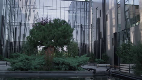 Landscaped-garden-at-modern-building-glass-exterior.-Recreation-place-with-trees