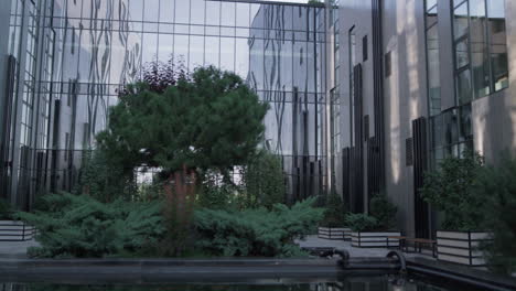 landscaped garden at modern building glass exterior. recreation place with trees