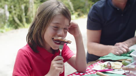 plano medio de un niño feliz comiendo barbacoa en un picnic