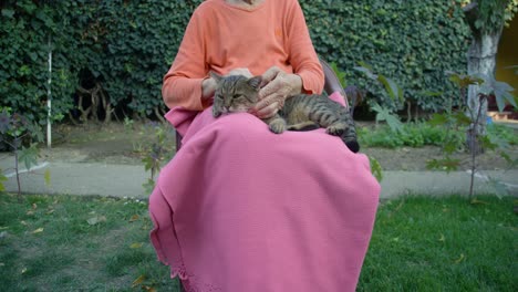 an old grandmother with a cat on a chair where she is petting him