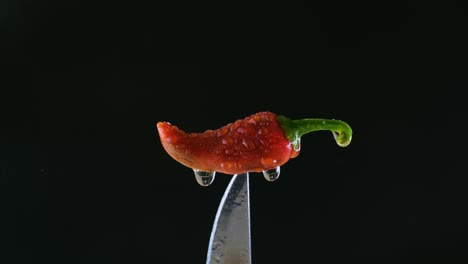 Water-is-sprayed-on-top-of-chili-stabbed-on-knife-point,-black-background