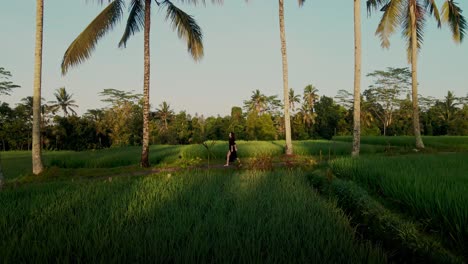 Bella-Mujer-Elegante-Caminando-Descalza-Con-Palmeras-Y-Terrazas-De-Arroz-Al-Fondo