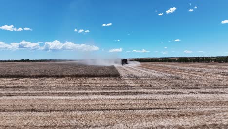 Explore-the-cutting-edge-machinery-and-precision-in-action-during-a-large-scale-lupin-harvesting-operation